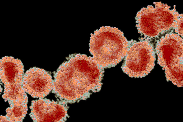 Coronavirus DrFAMurphy 700x467
