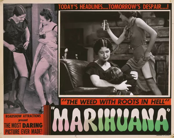 Marihuana Roadshow Attractions